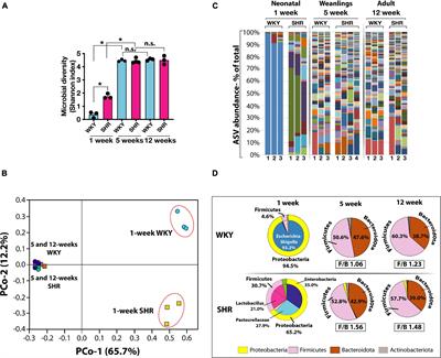 Altering Early Life Gut Microbiota Has Long-Term Effect on Immune System and Hypertension in Spontaneously Hypertensive Rats